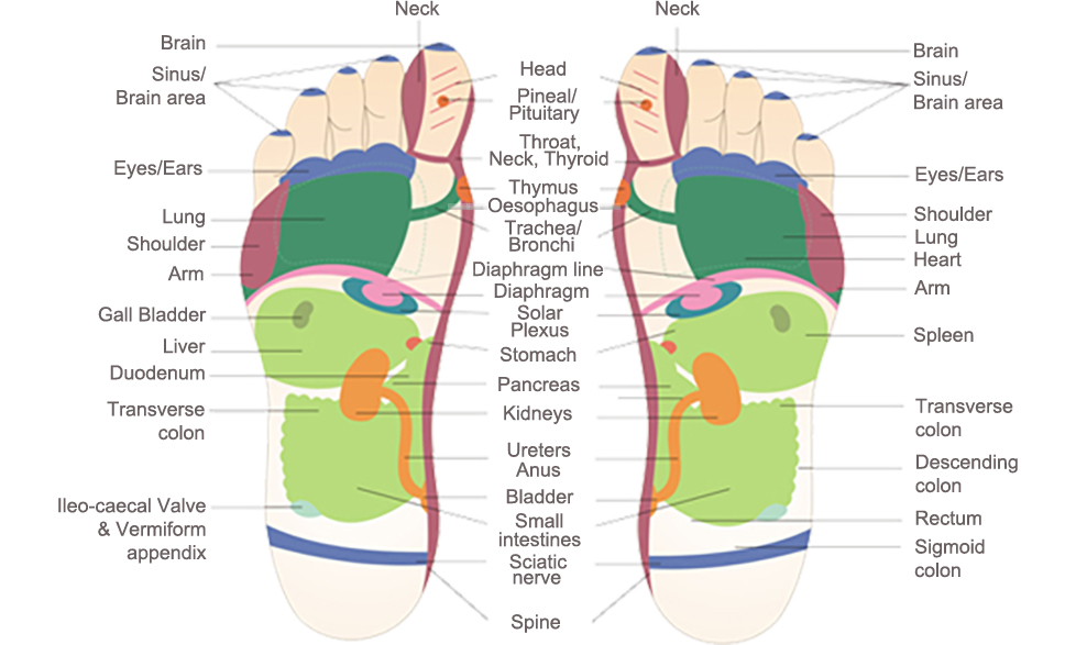 reflexology en