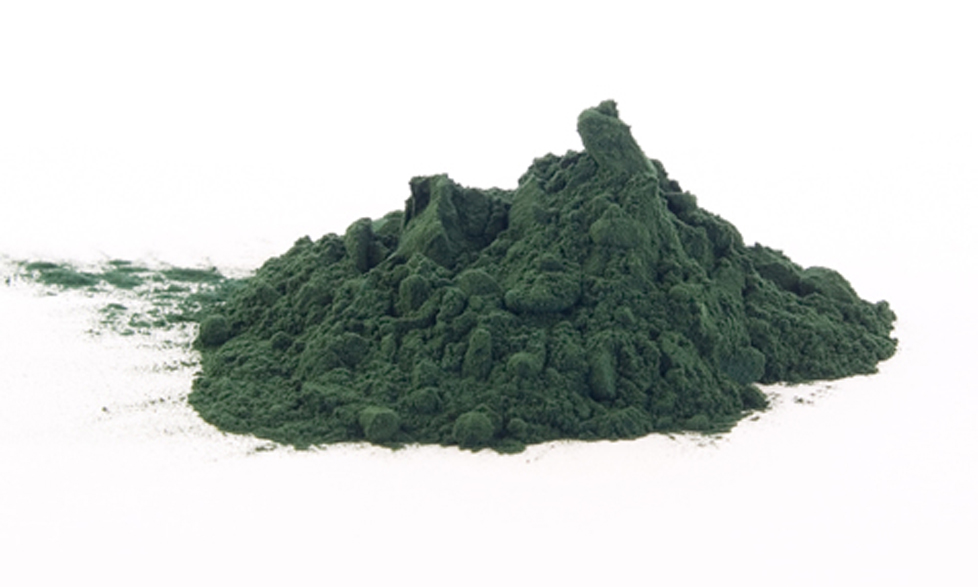 spirulina